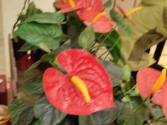 -阳阳中国饭(龙湖大兴天街)