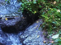 -五营红松林海景区