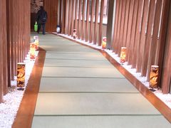 -重庆南山海昌汤都