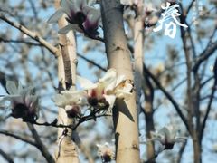 -碑林公园