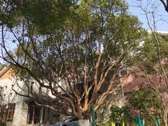 -绮园景区