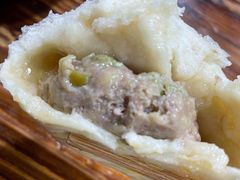 葱肉包子-石家包子(大学习巷店)