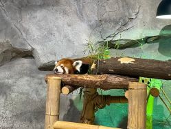 -Zoolung Zoolung动物主题公园(海信广场店)