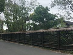 -同里国家湿地公园