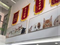 -爱侣宠医·鹦鹉专科·小型哺乳类·异宠专科(灵石路店)