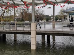 -平望服务区·停车场