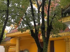 -报恩禅寺