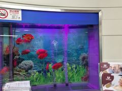 -雅悦齿科(顾村公园店)