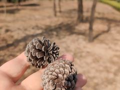 -中国移动南方基地