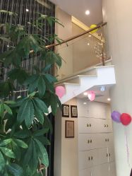 -紫琪尔国际丰胸美胸机构