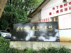 -马王堆汉墓遗址