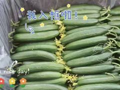 -大班家政月嫂育儿嫂(总部店)