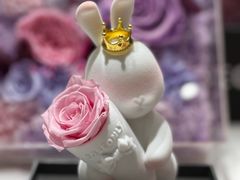 -ROSEONLY诺誓(磐基中心店)