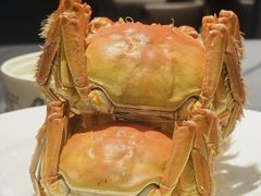 -王宝和酒家(黄浦店)