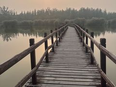 -西青郊野公园