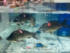-世纪联华(杭州新塘路店)