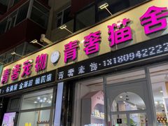 -青奢宠物·青奢猫舍