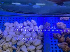 -晶渔坊·海鲜私房菜(东夷小镇店)