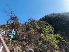 -金子山原生态旅游风景区