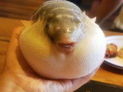 -永安鱼庄·镇江菜(丁卯店)