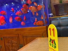 -丝路传奇·中国拉面航母店(北医三院店)