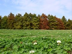 -苏州吴中太湖旅游区