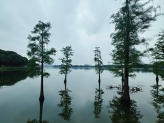 -松山湖风景区松湖烟雨