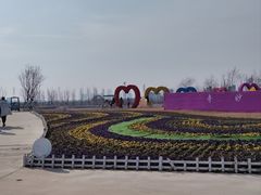 -南通鲜花小镇