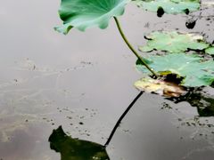 -暨阳湖生态园