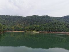 -桃花岭景区