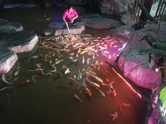 -泉城欧乐堡海洋极地世界