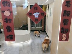 -奶牛家宠物酒店(嘉宏云顶店)