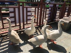 -蝴蝶泉公园