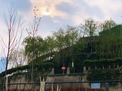 -重庆市江北嘴中央商务区中央公园