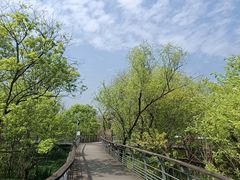 -西湖风景区-江洋畈生态公园