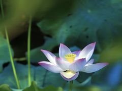 -丝绸小镇荻港古村