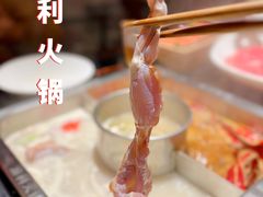 -渝利重庆火锅