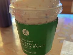 -茉酸奶(春熙路店)