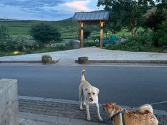 -听风阁农家私房菜茶楼(龙坞店)