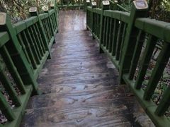 -修水东浒寨风景区