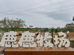 -盈香心动乐园