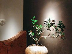 -黄山老妈·土菜(碧桂园店)