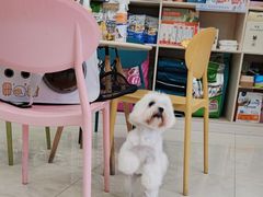 -乐琪宠物医院·犬猫专科·骨外科·急重症