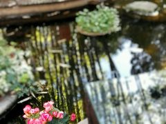 -新竹里馆·花园餐厅(兴苑路店)