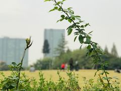 -杭州城北体育公园