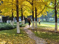 -重庆市江北嘴中央商务区中央公园