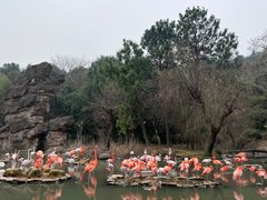 -宁波野生动物园