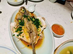-大榕树下顺德菜(融创茂店)