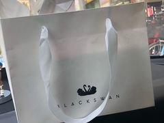 -BLACKSWAN黑天鹅(环球店)
