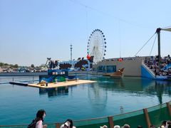 -秦皇岛乐岛海洋王国